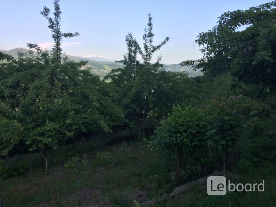 Хоста каштаны 129. Расписание 127 автобуса хоста. Каштан адлер. Автобус 128 хоста красная воля. Расписание 127 автобуса хоста.